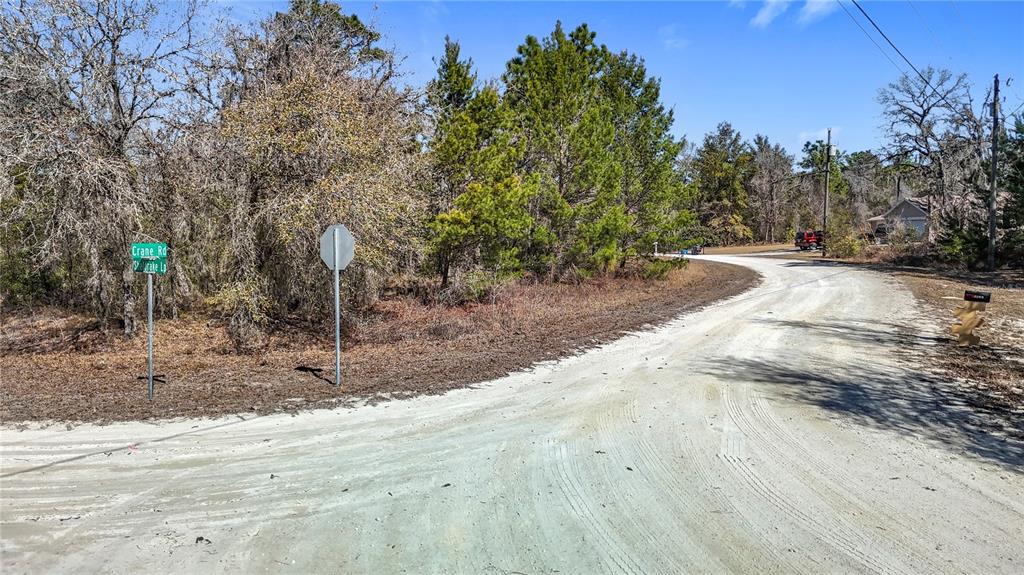 16070 Sheldrake Loop Weeki Wachee, FL 34614 - Photo 6 of 23