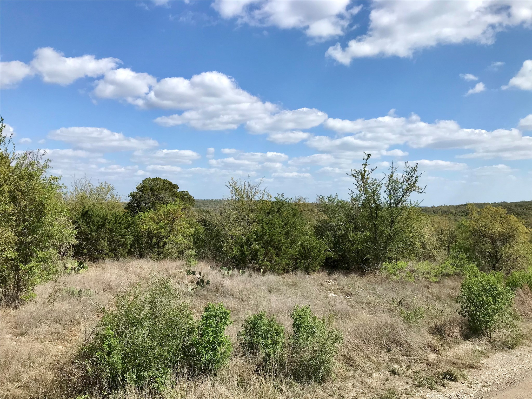 970 B Rr 32 San Marcos, TX 78666 - Photo 4 of 30 Views from the property of surrounding hills. Variety of native trees providing shave and cover for wildlife.