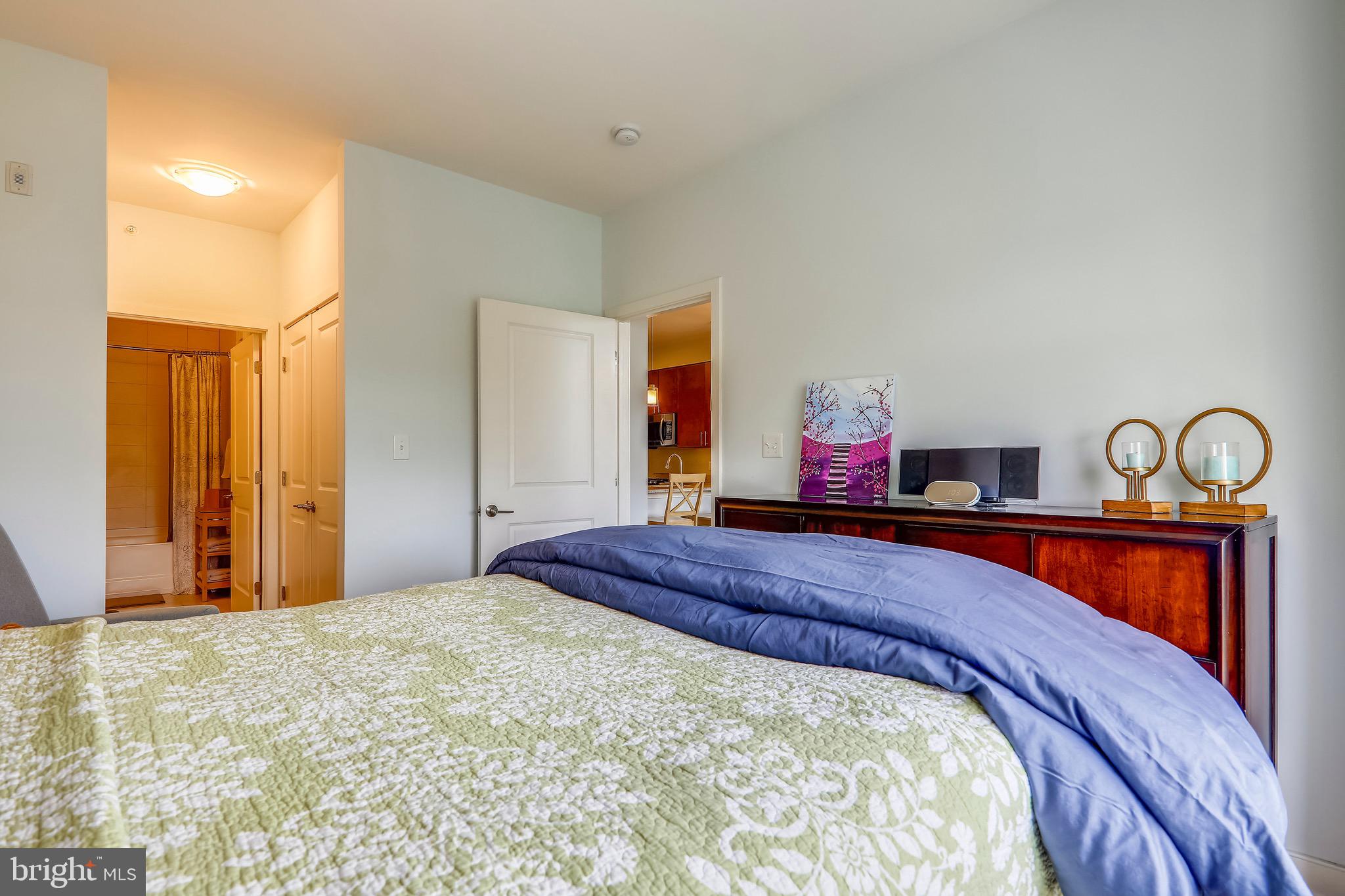 8005-13 13th Street, Unit 404 Silver Spring, MD 20910 - Photo 14 of 51 Bed Room With Private Door to the Full Bath