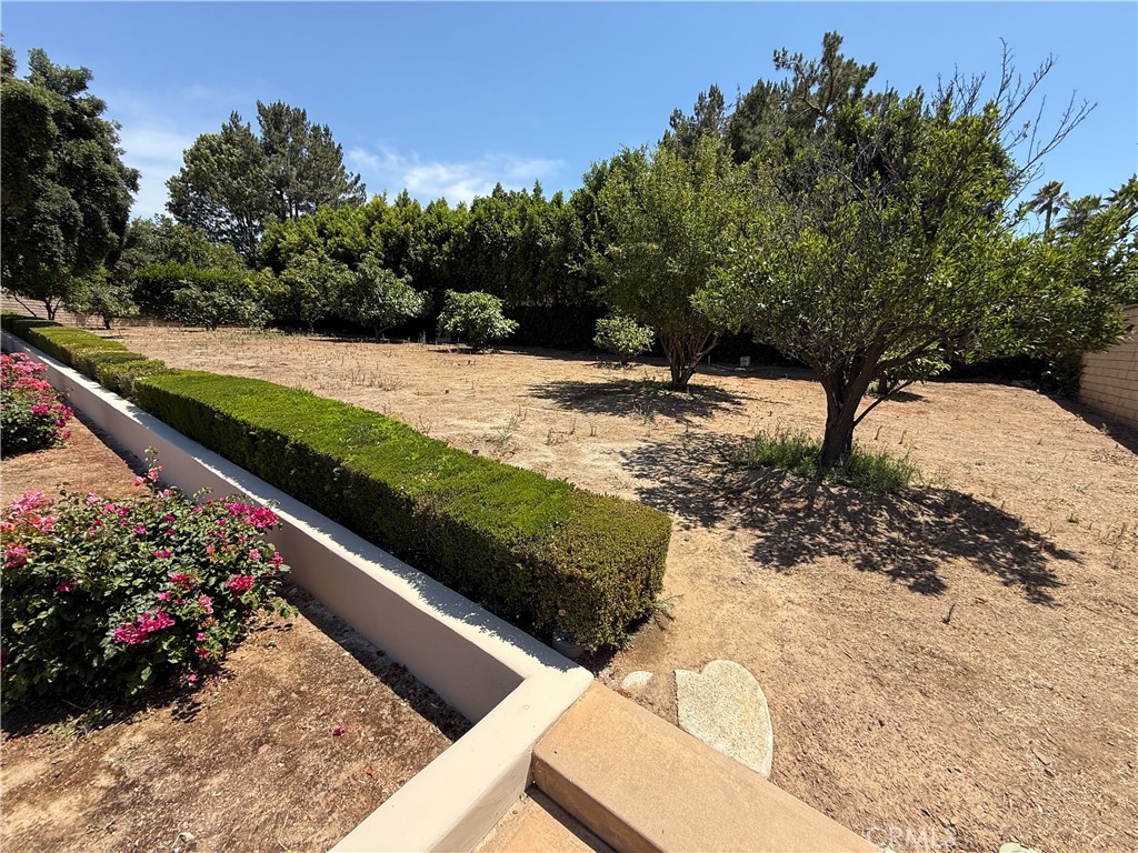 1662 Cherokee Road Corona, CA 92881 - Photo 7 of 60 a view of a garden with a pathway