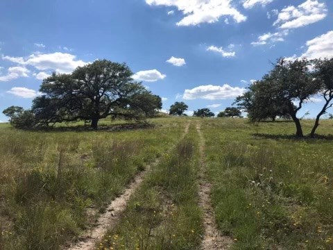 178 Jacobs Crossing, Unit 24 Blanco, TX 78606 - Photo 2 of 9 a view of a lake with a yard