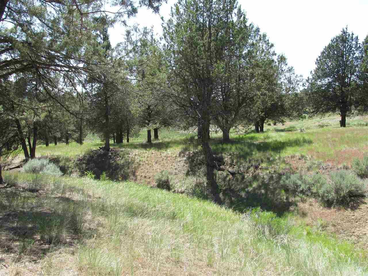 1146 Parula Road, Unit 1146 Klamath Falls, OR 97601 - Photo 7 of 7 A69F5AE2-AC86-4927-A9CF-A50B02F44BD4