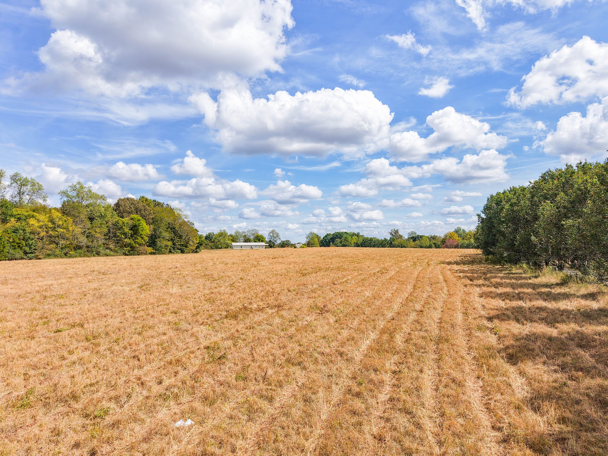 0 Shannon Road Leoma, TN 38468 - Photo 7 of 10 Gallery Image 7