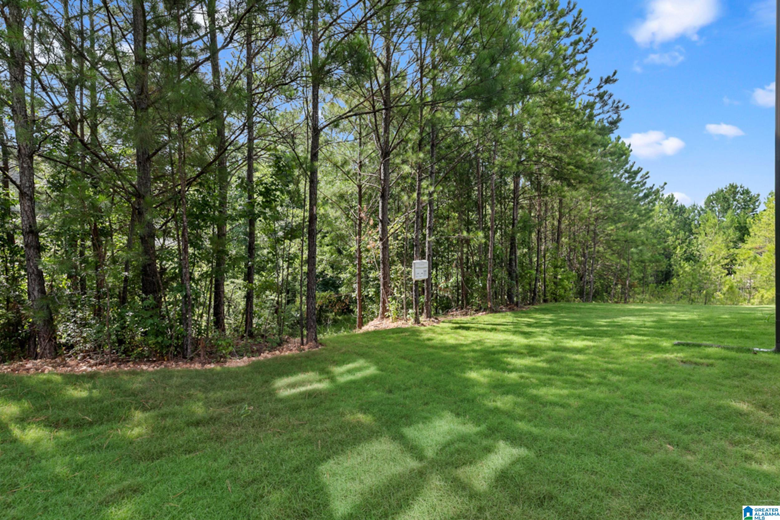1077 Grande View Pass Alabaster, AL 35114 - Photo 57 of 58