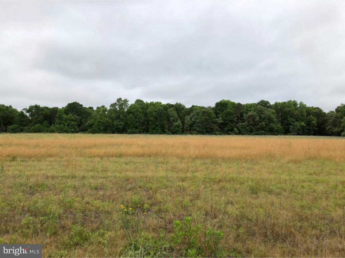 Lot 3 Buck Road Monroeville, NJ 08343 - Photo 3 of 8