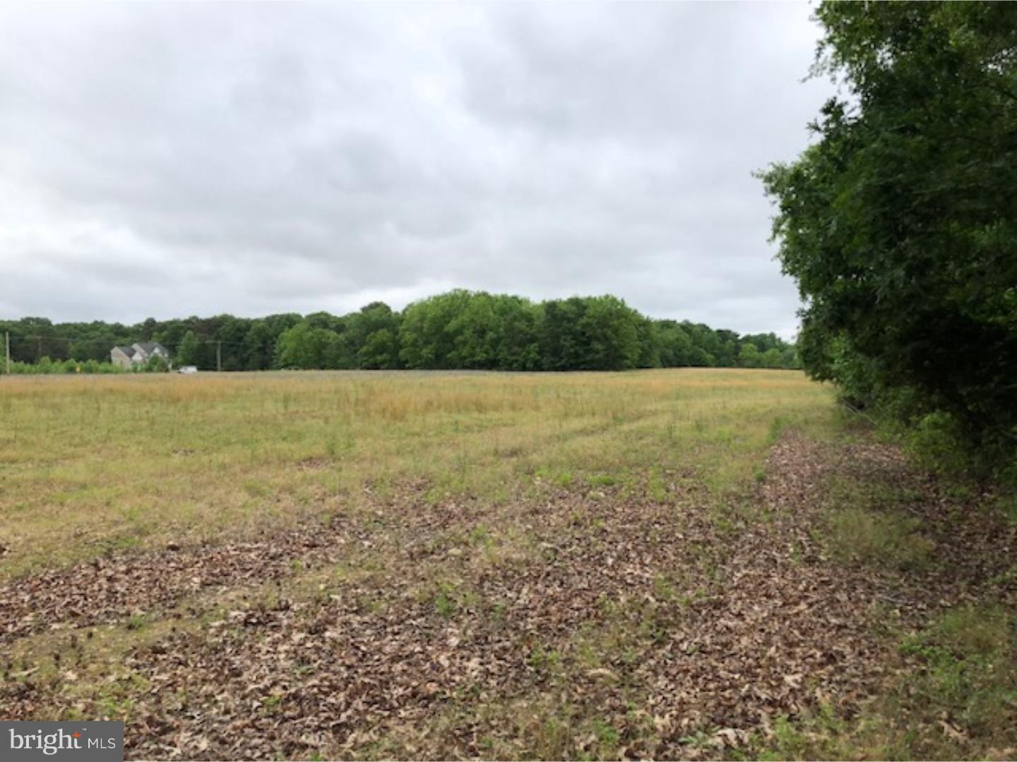 Lot 3 Buck Road Monroeville, NJ 08343 - Photo 8 of 8