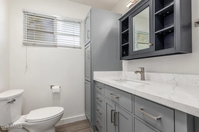 a bathroom with a granite countertop sink and a toilet