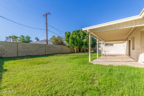 a view of a back yard