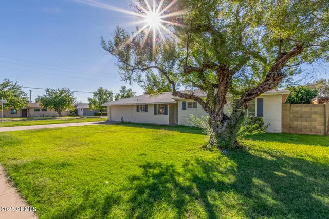 a front view of a house with yard and tree