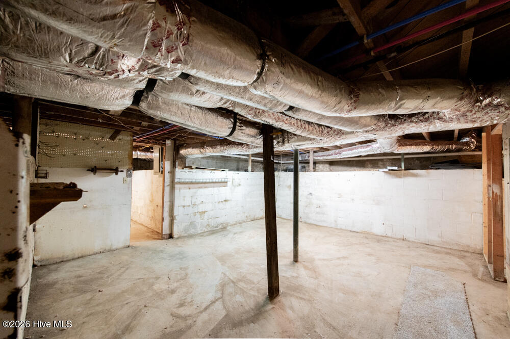 9 Linnet Loop North Augusta, SC 29841 - Photo 23 of 30 Basement!