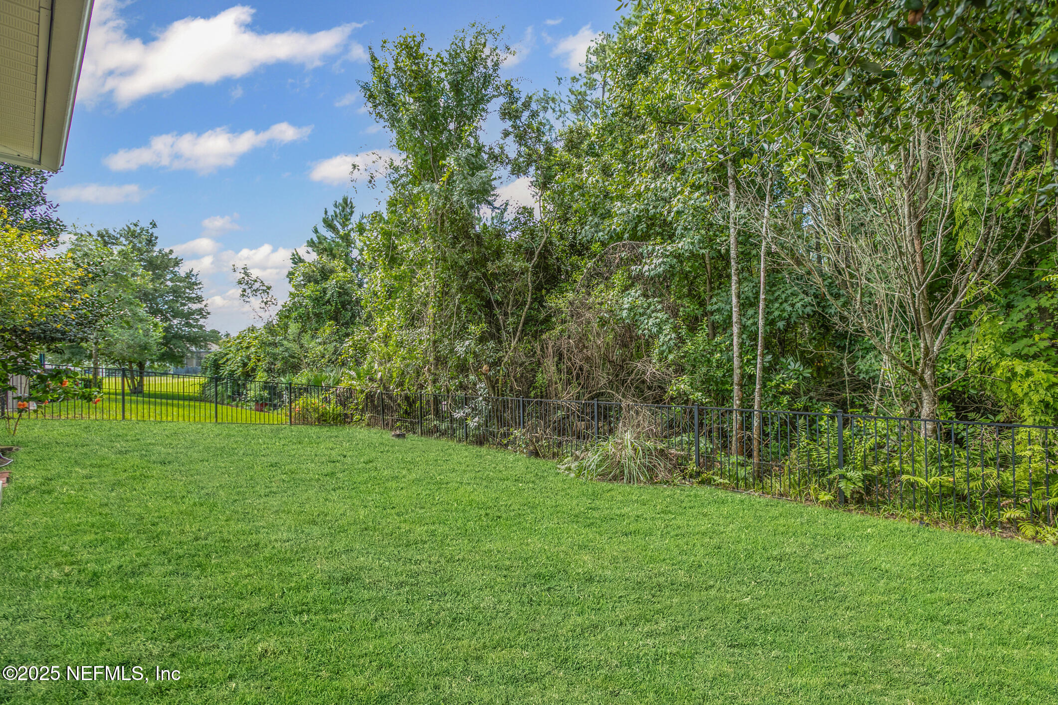66 Gray Wolf Trail Jacksonville, FL 32081 - Photo 42 of 75 Back Yard (Virtually Enhanced Grass)