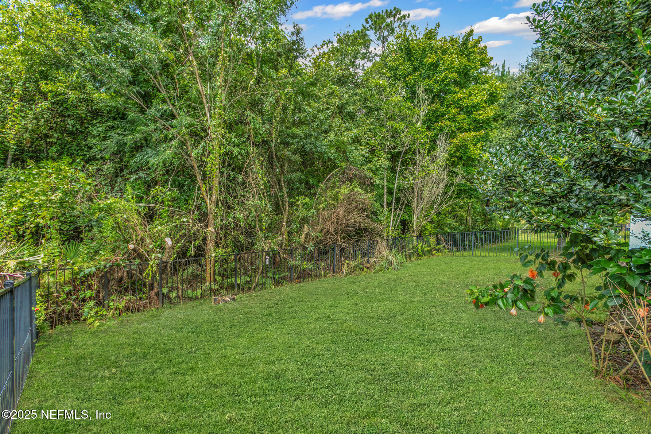 66 Gray Wolf Trail Jacksonville, FL 32081 - Photo 43 of 75 Back Yard (Virtually Enhanced Grass)