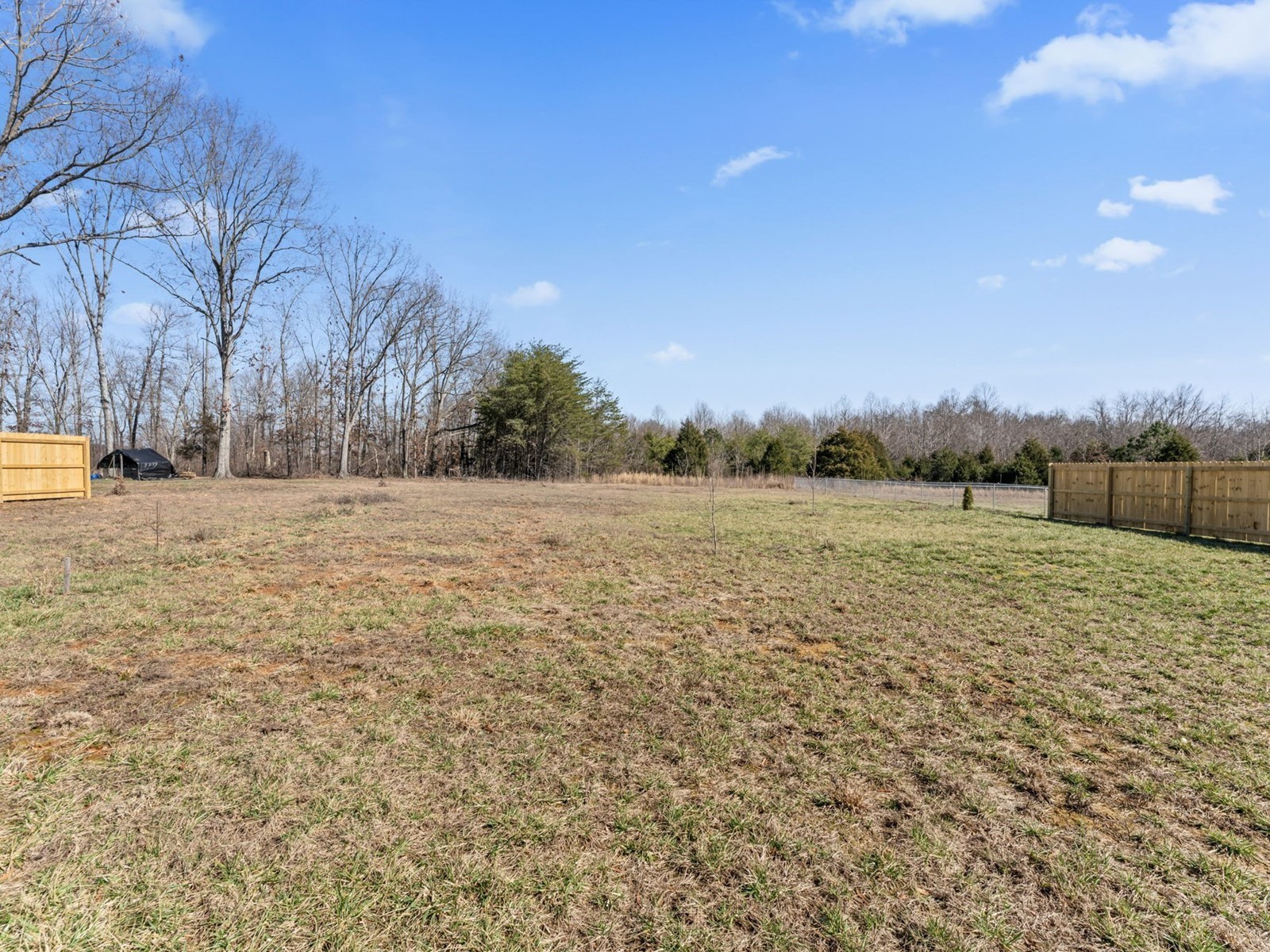 506 Bill Fuson Road McMinnville, TN 37110 - Photo 20 of 22 a view of a field with an trees