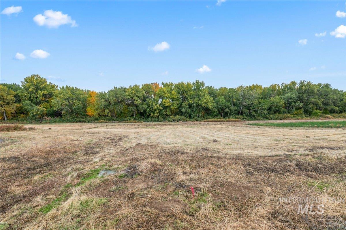 Nna Whetstone Lane Caldwell, ID 83607 - Photo 10 of 22