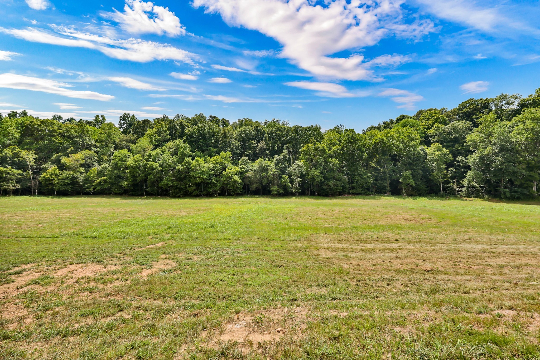 5580 Chambers Road Cumberland Furnace, TN 37051 - Photo 42 of 51 a view of a yard with an ocean