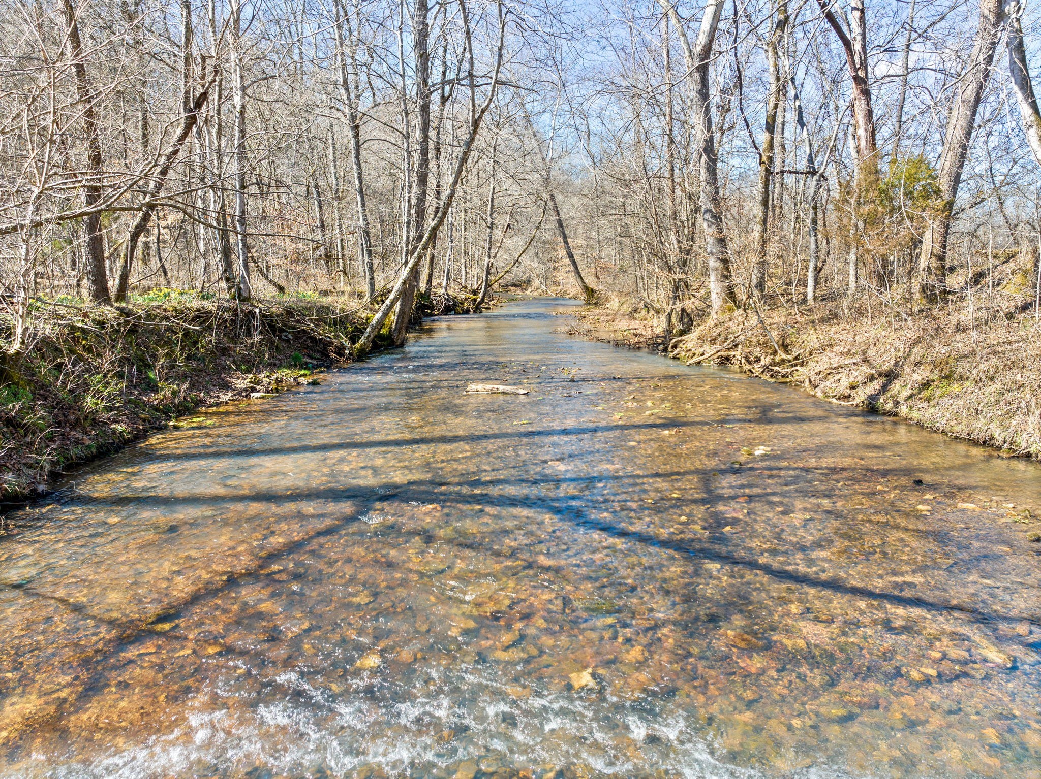5580 Chambers Road Cumberland Furnace, TN 37051 - Photo 50 of 51 a view of yard with tree in the background
