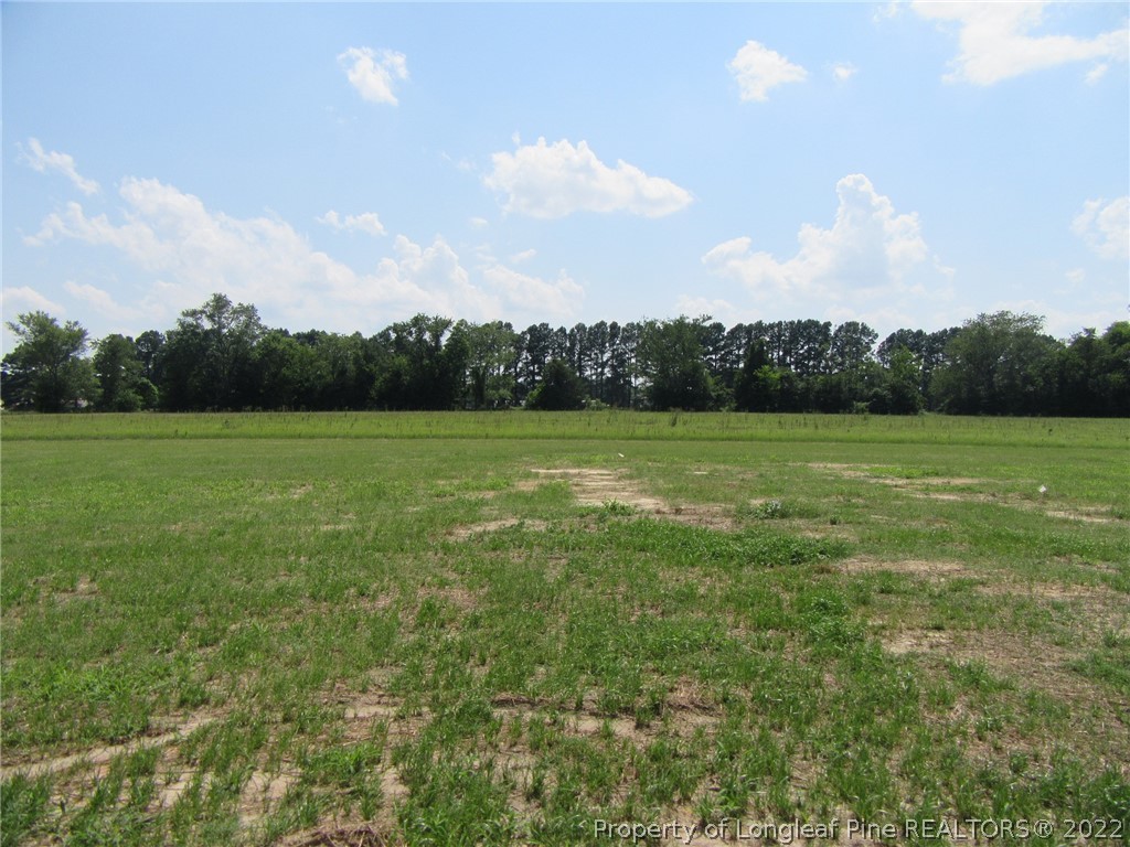 6414 New Hope Church Road Wade, NC 28395 - Photo 3 of 38 Gallery Image 3