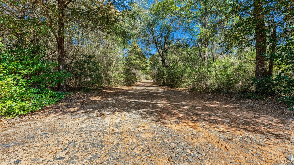 497 George Cannon Road Box Springs, GA 31801 - Photo 29 of 35 Gallery Image 29