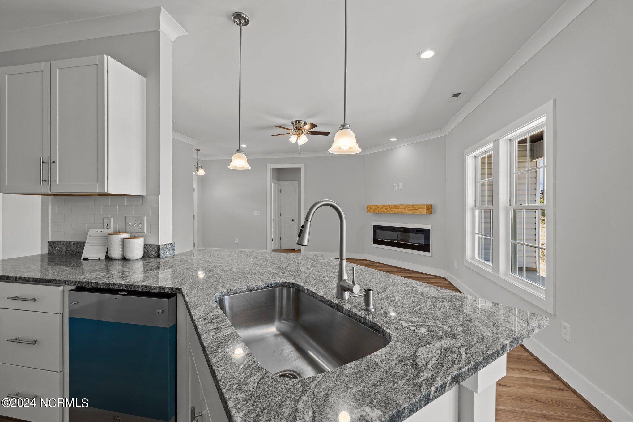 916 Aspen Ridge Court Deep Run, NC 28525 - Photo 12 of 39 15-web-or-mls-470A6211