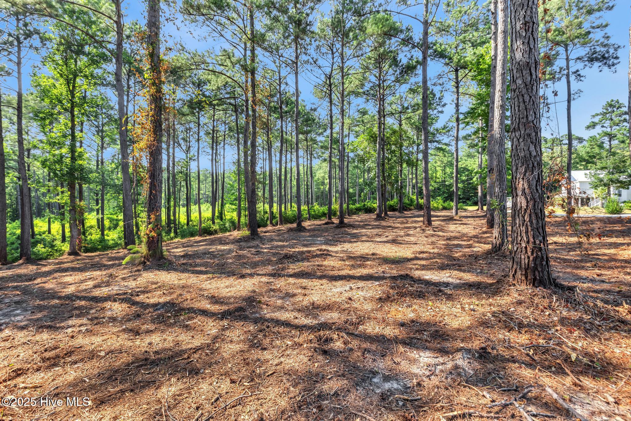 218 Alderman Landing Road Holly Ridge, NC 28445 - Photo 1 of 15 front elevation