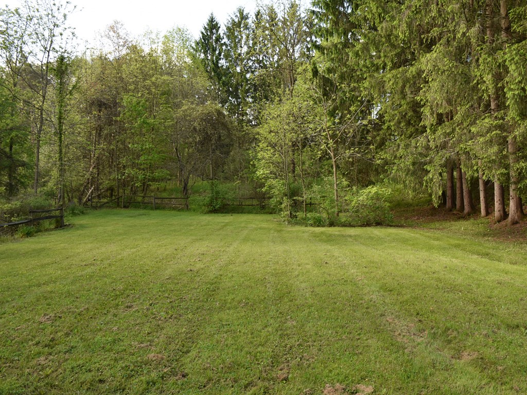 16475 Harmonsburg Road Meadville, PA 16335 - Photo 5 of 35 a view of a field with trees in front of it