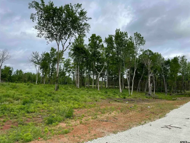 $18,000 | Tbd Tbd Live Oak, Alto, TX 75925