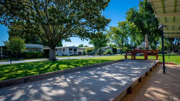 a view of a park with large trees