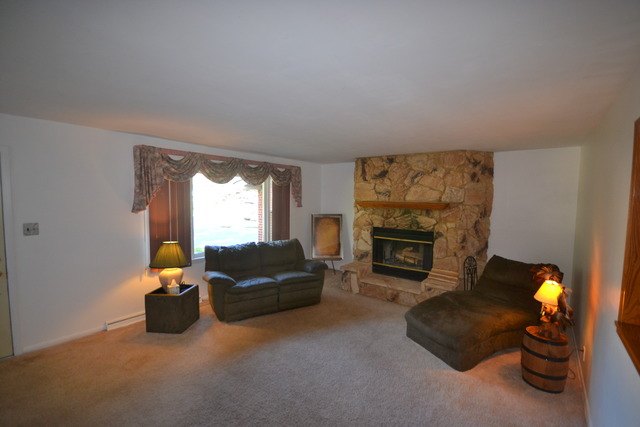 107 Lippincott Road Fox Lake, IL 60020 - Photo 6 of 21