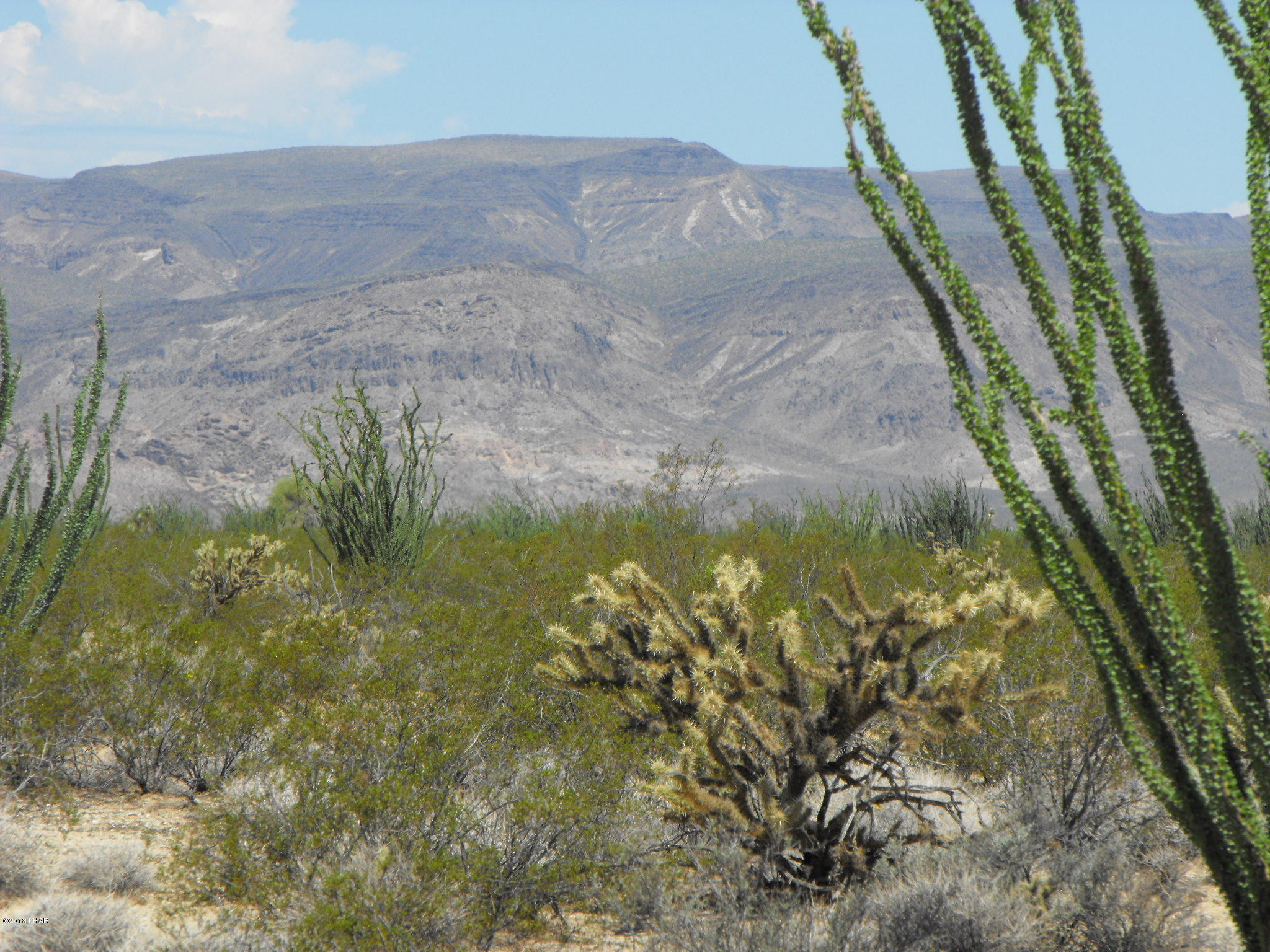 35 West Cielo Road Yucca, AZ 86438 - Photo 11 of 19 DSCF1088