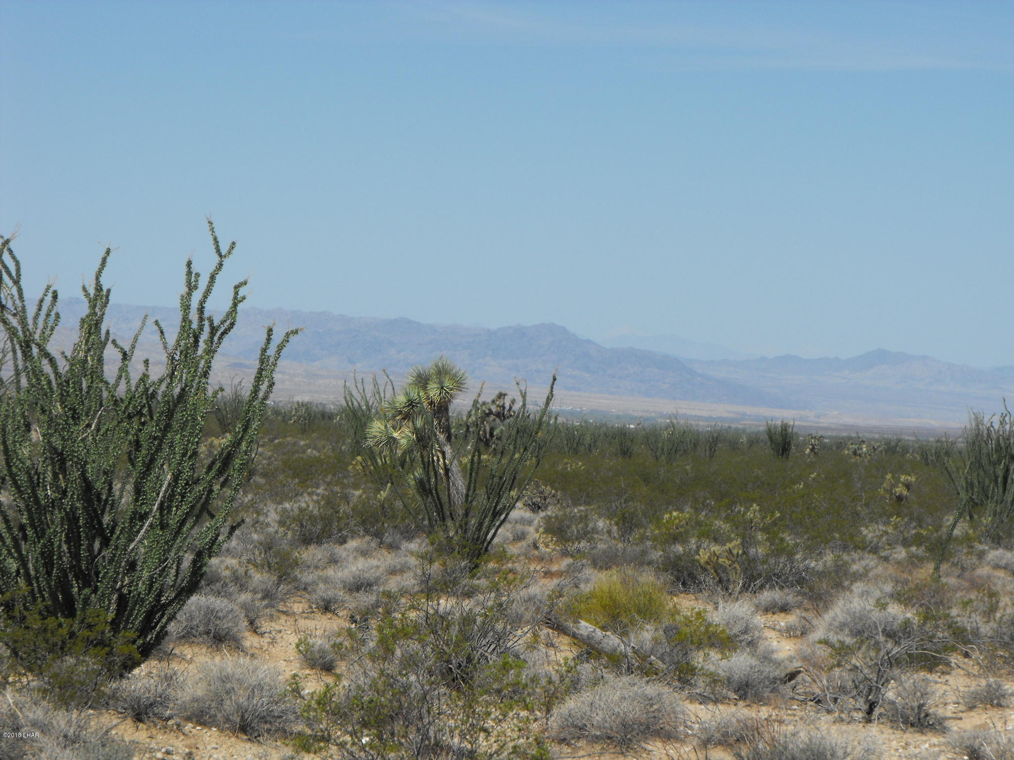 35 West Cielo Road Yucca, AZ 86438 - Photo 5 of 19 DSCF1077