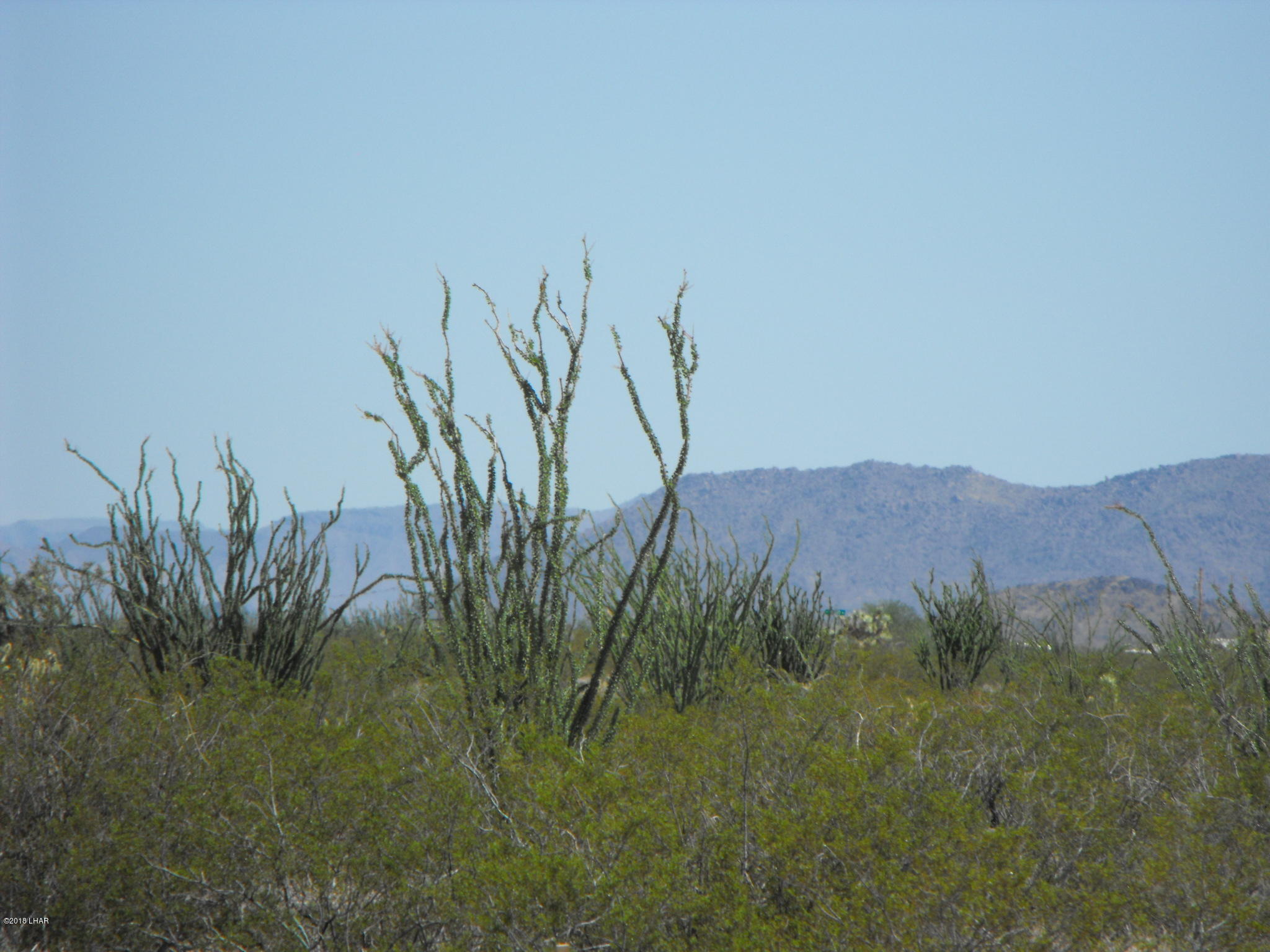 35 West Cielo Road Yucca, AZ 86438 - Photo 7 of 19 DSCF1080