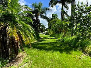 2950 South Brocksmith Road Fort Pierce, FL 34945 - Photo 13 of 45 Brocksmith Road31