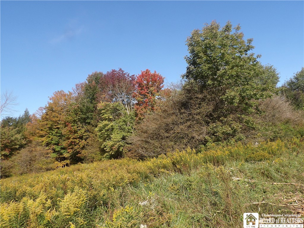 0 Cabbage Hill Road Clymer, NY 14724 - Photo 3 of 20