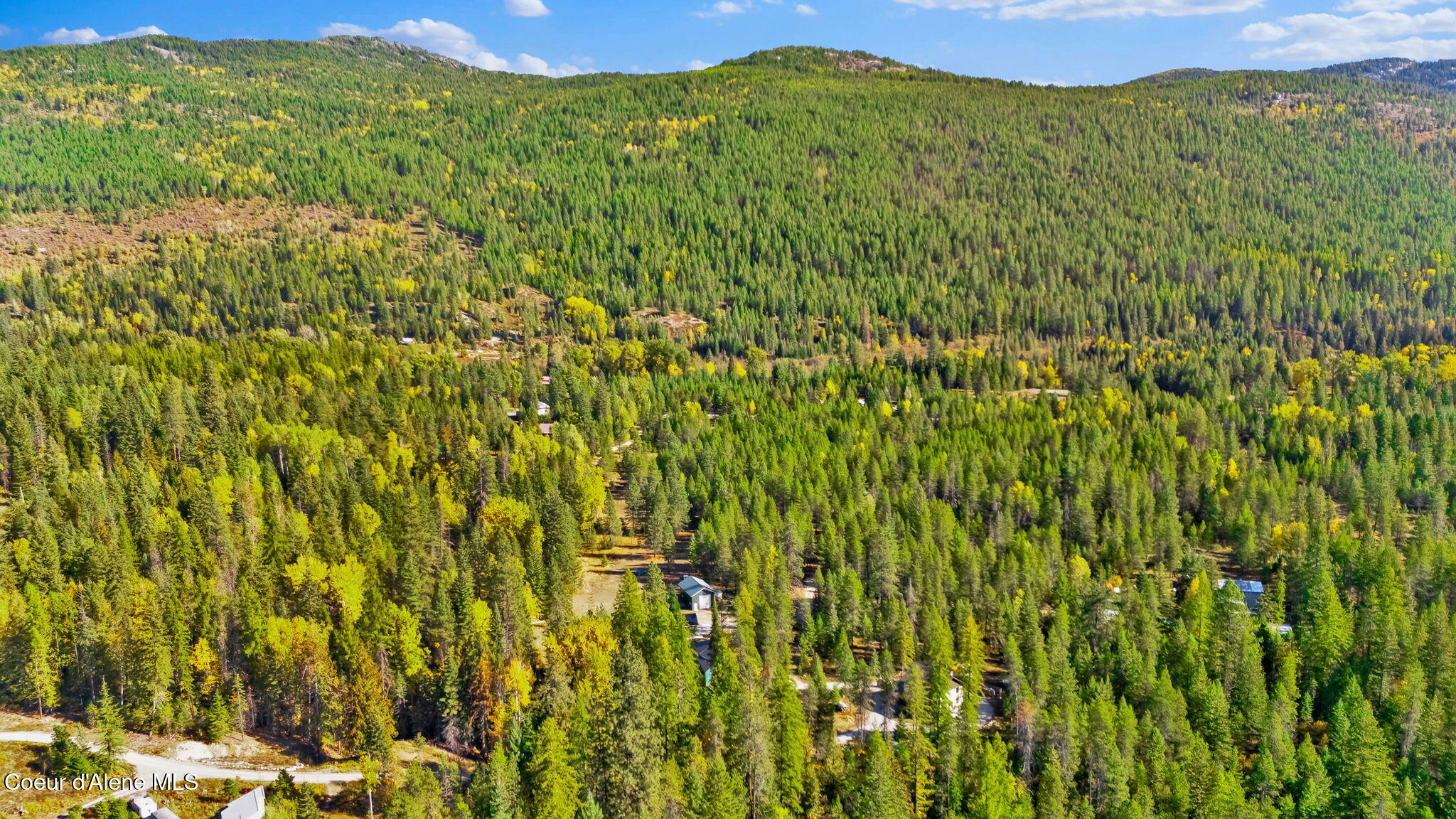 204 Jeru Ridge Trail Sandpoint, ID 83864 - Photo 71 of 78 71-web-or-mls-SkyLight - Jenny-72