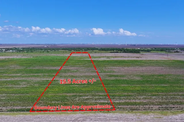 a view of an outdoor space and backyard