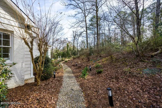 a view of swimming pool with lawn chairs and plants