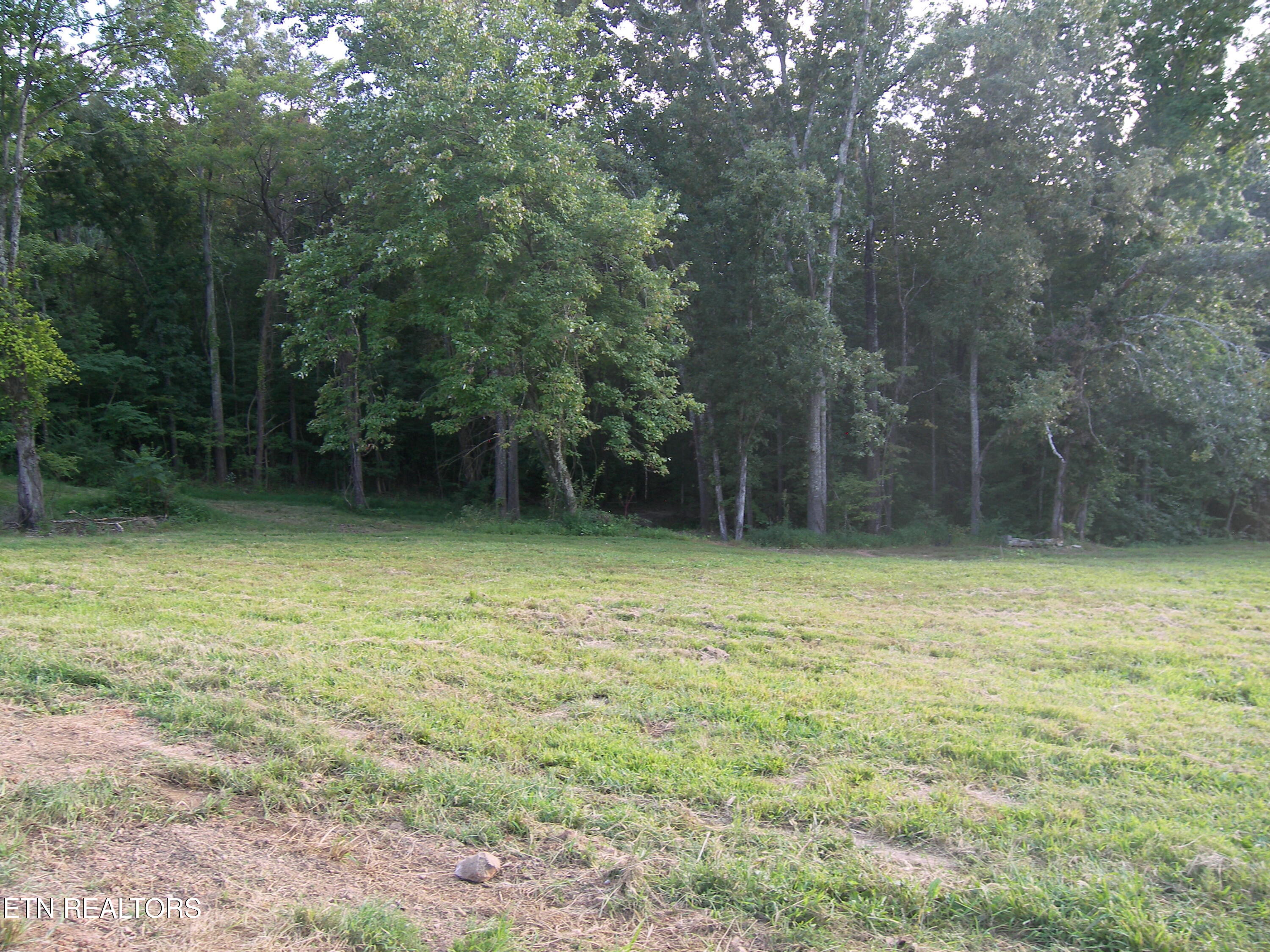 250 Wells Road Powell, TN 37849 - Photo 4 of 9 2025-01-01 13.49.32