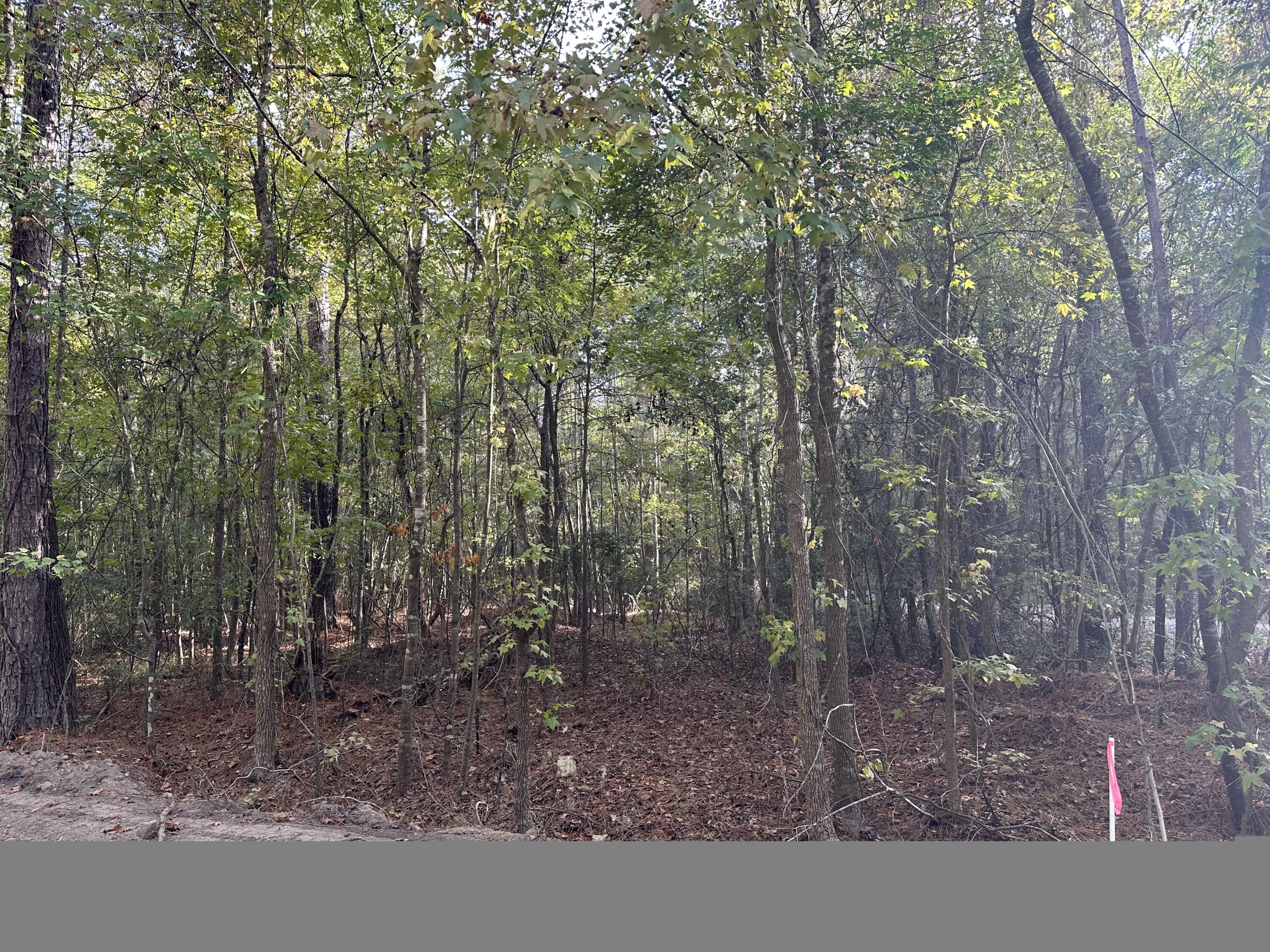 6 Hudson Summerton, SC 29148 - Photo 8 of 9