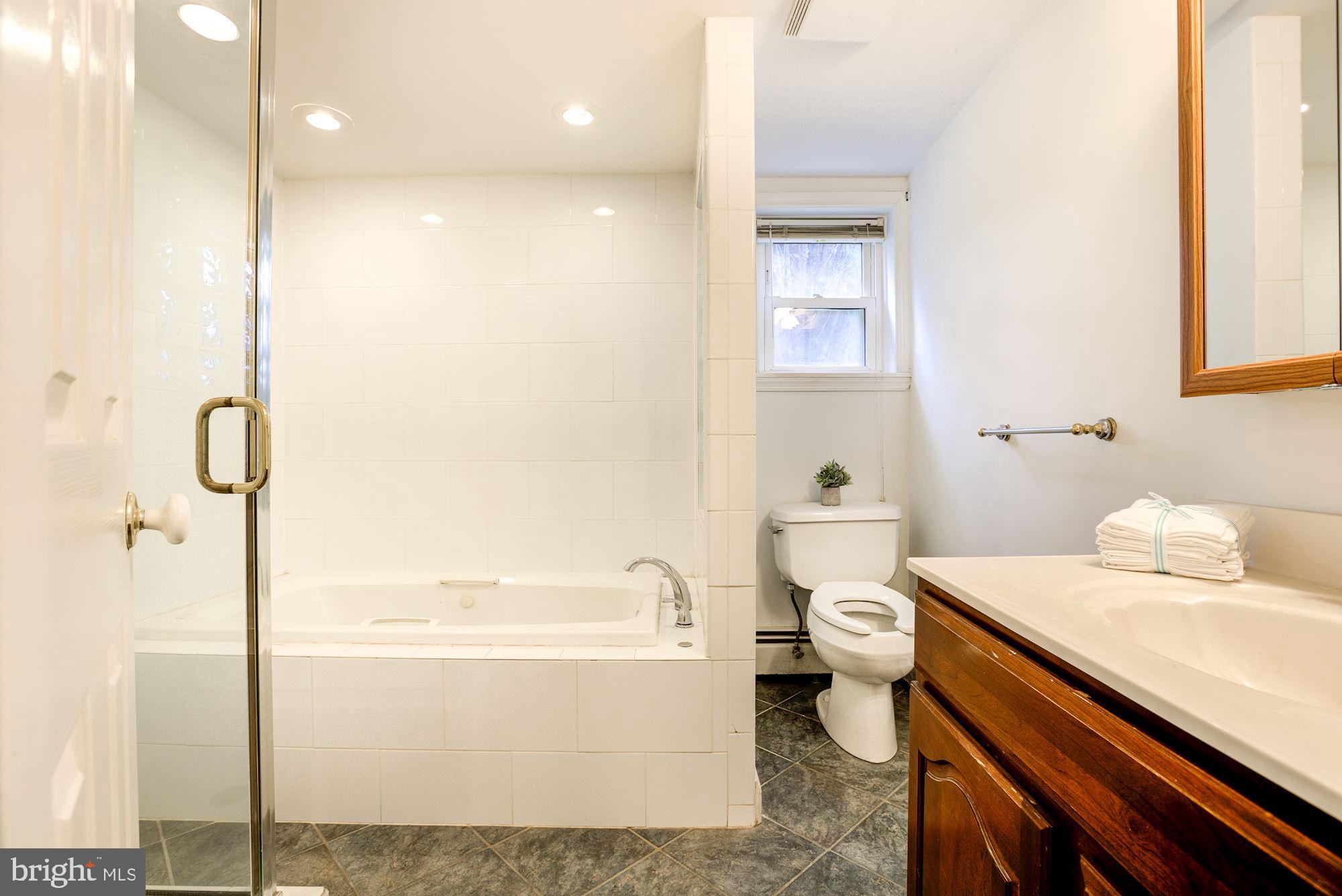 8203 Frye Road Alexandria, VA 22309 - Photo 25 of 34 Lower level bath with Jacuzzi.