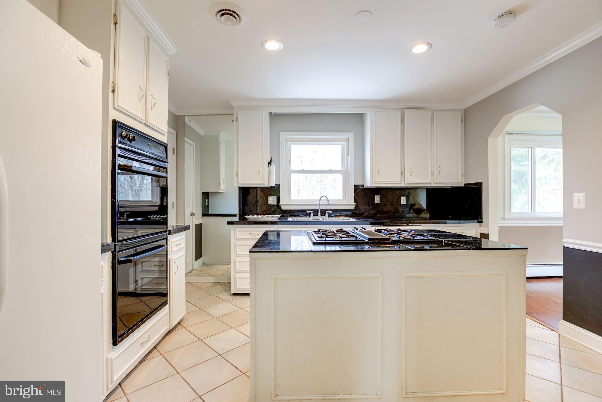 8203 Frye Road Alexandria, VA 22309 - Photo 8 of 34 Kithen with double ovens.