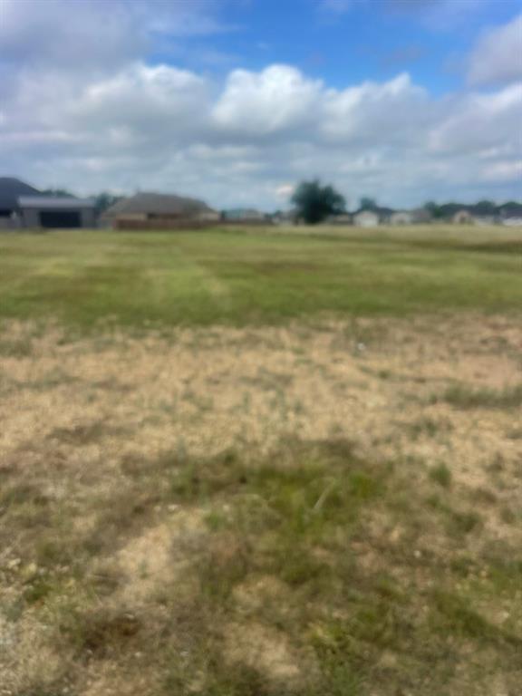 4613 Ranch Road Brownwood, TX 76801 - Photo 2 of 5 a view of an ocean