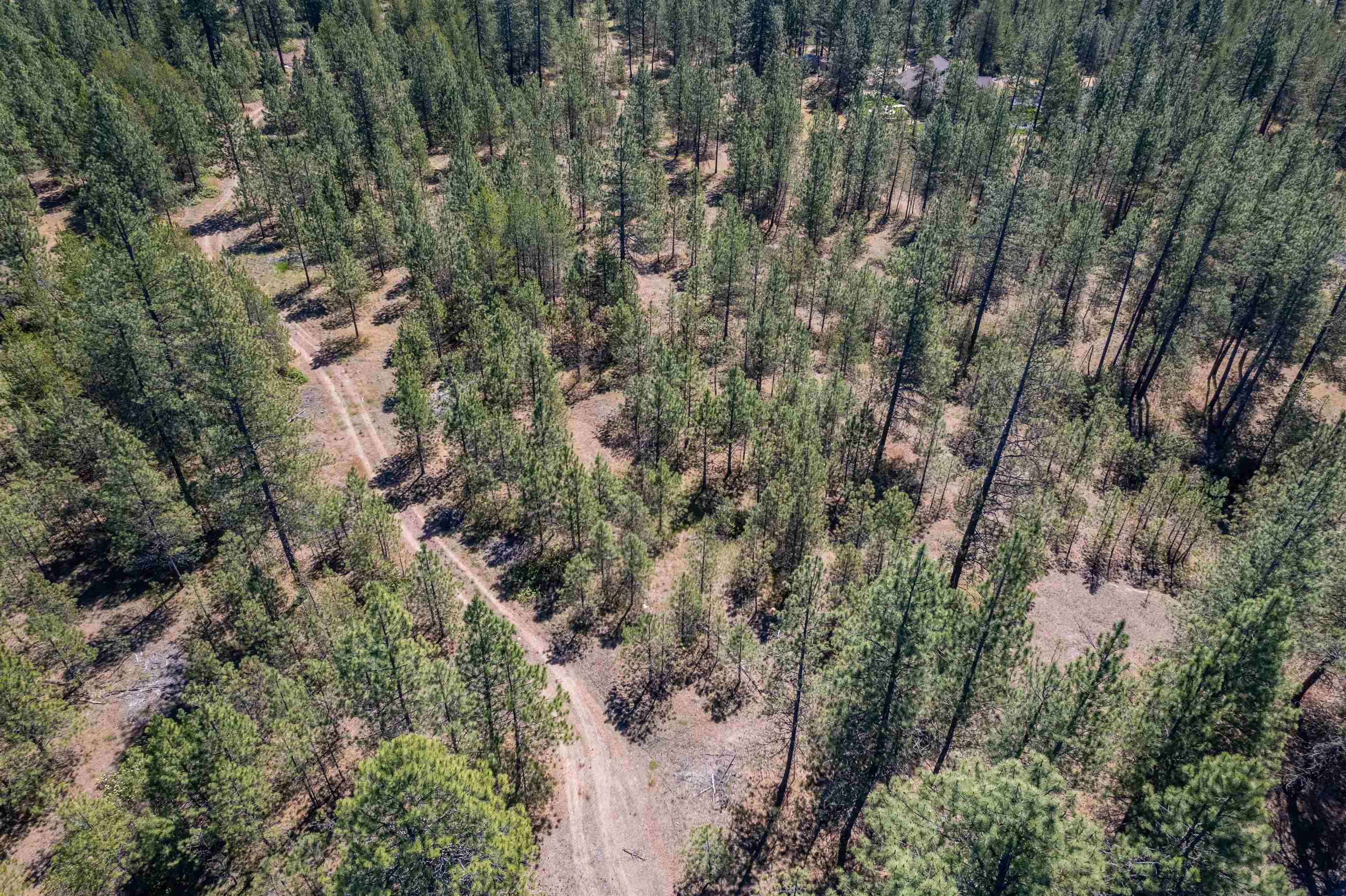29-xxx North Hardesty Road Chattaroy, WA 99003 - Photo 31 of 40