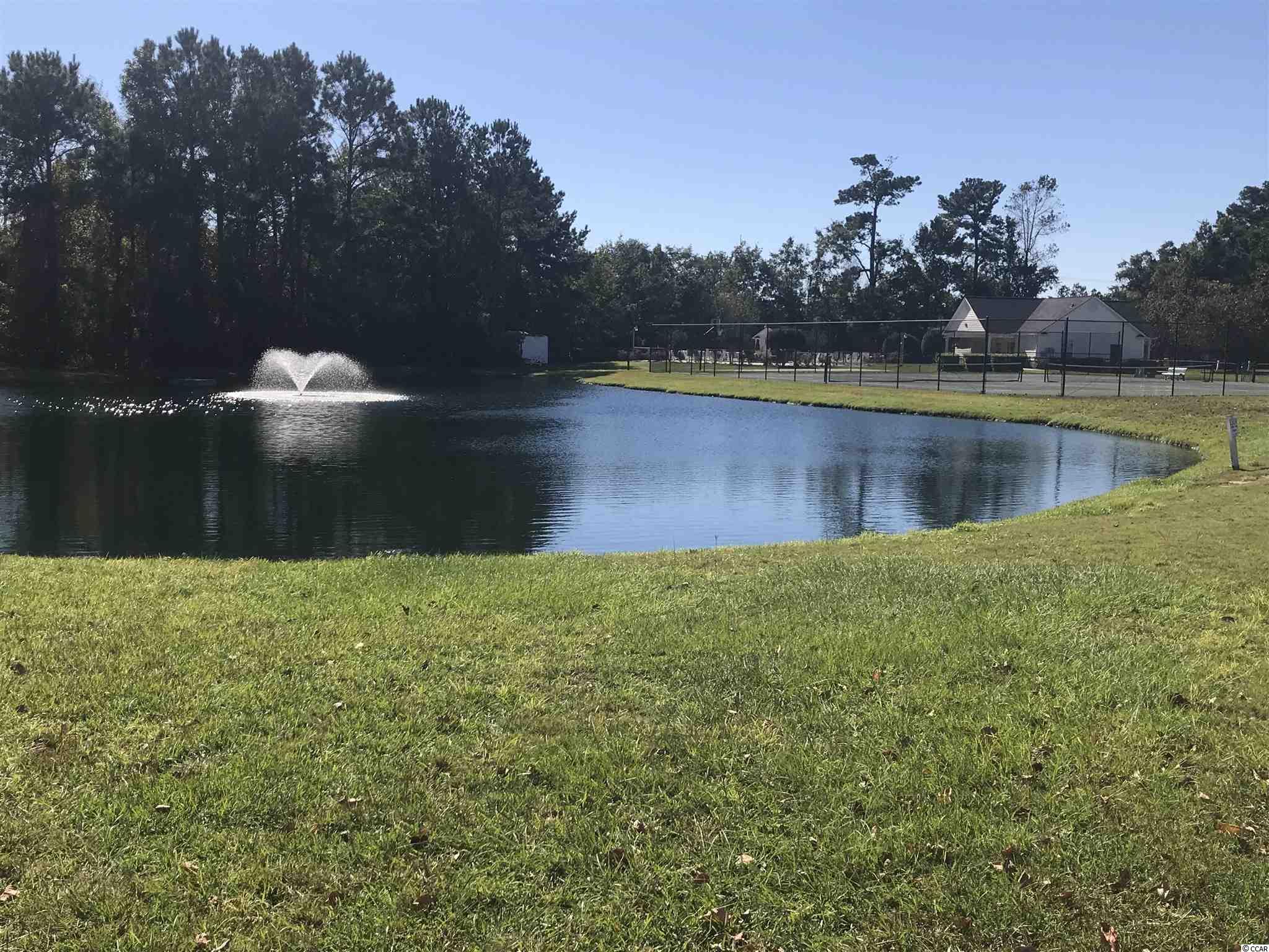 4280 Santolina Way, Unit E Murrells Inlet, SC 29576 - Photo 26 of 33 Gallery Image 26