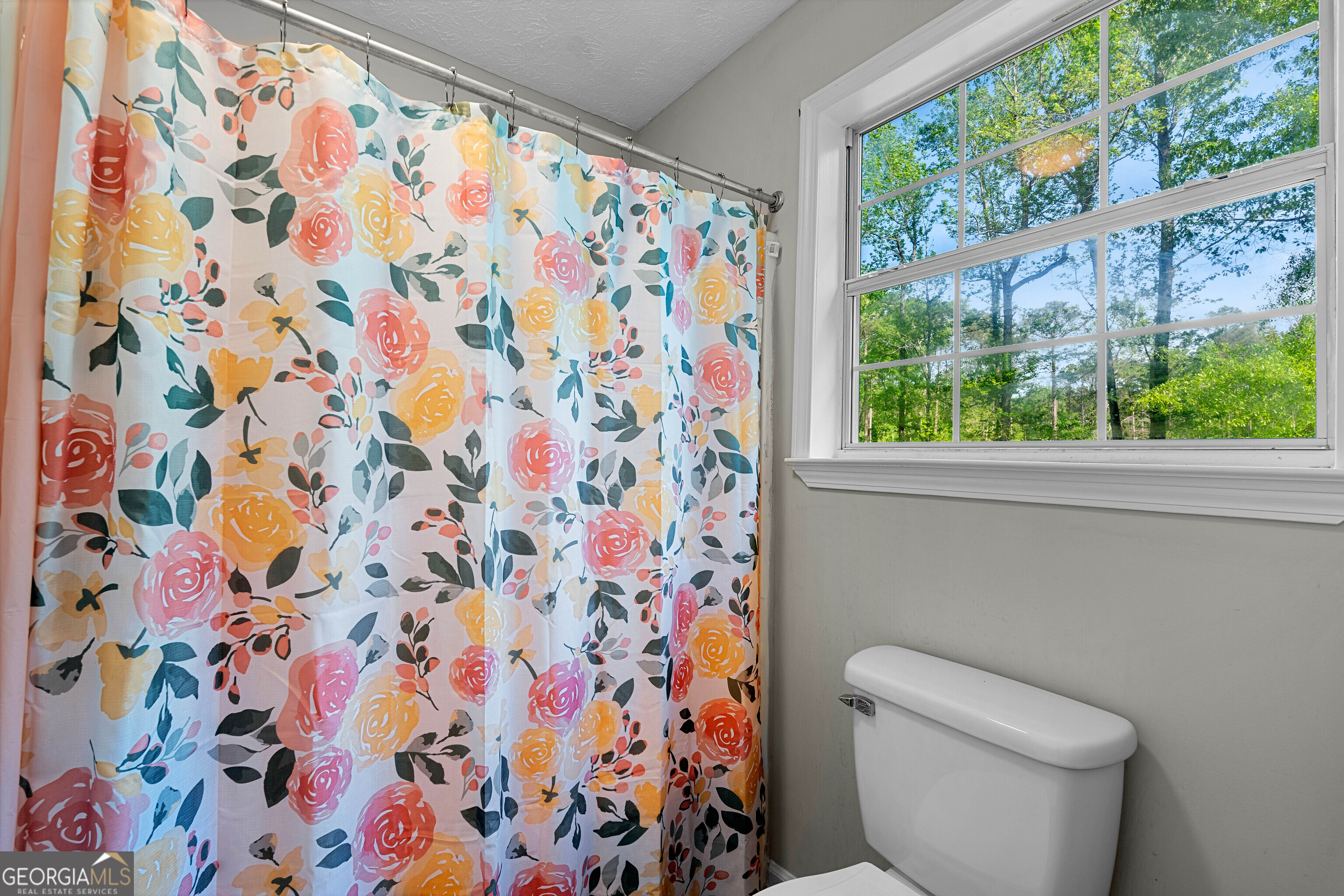 6094 Old Zebulon Road Concord, GA 30206 - Photo 33 of 46