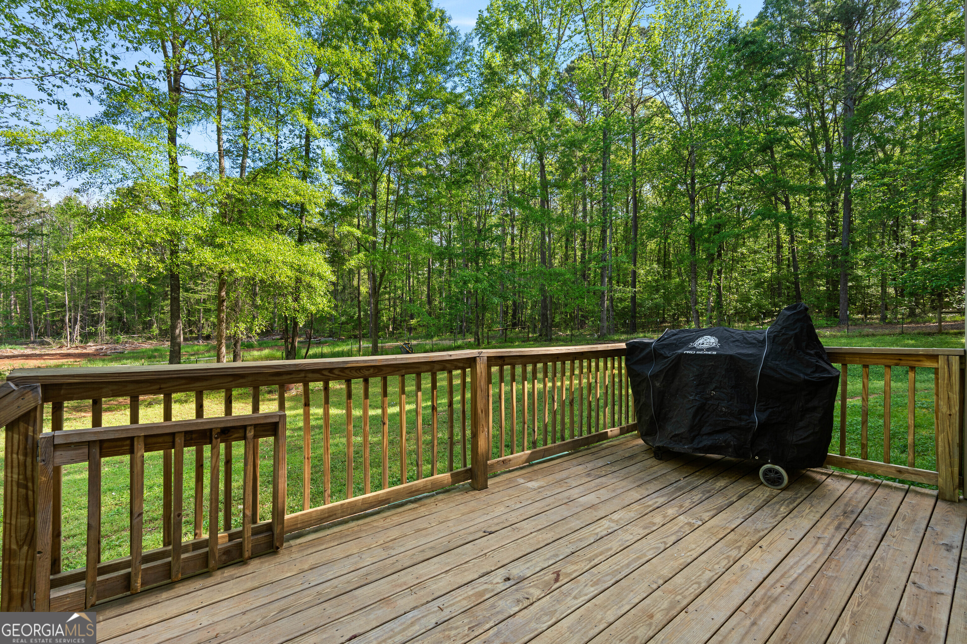 6094 Old Zebulon Road Concord, GA 30206 - Photo 40 of 46