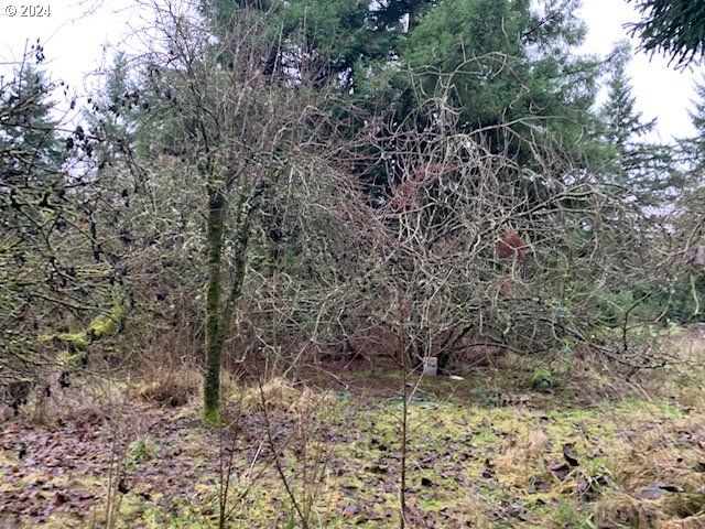 8276 South Vale Garden Road Canby, OR 97013 - Photo 3 of 8 Gallery Image 3