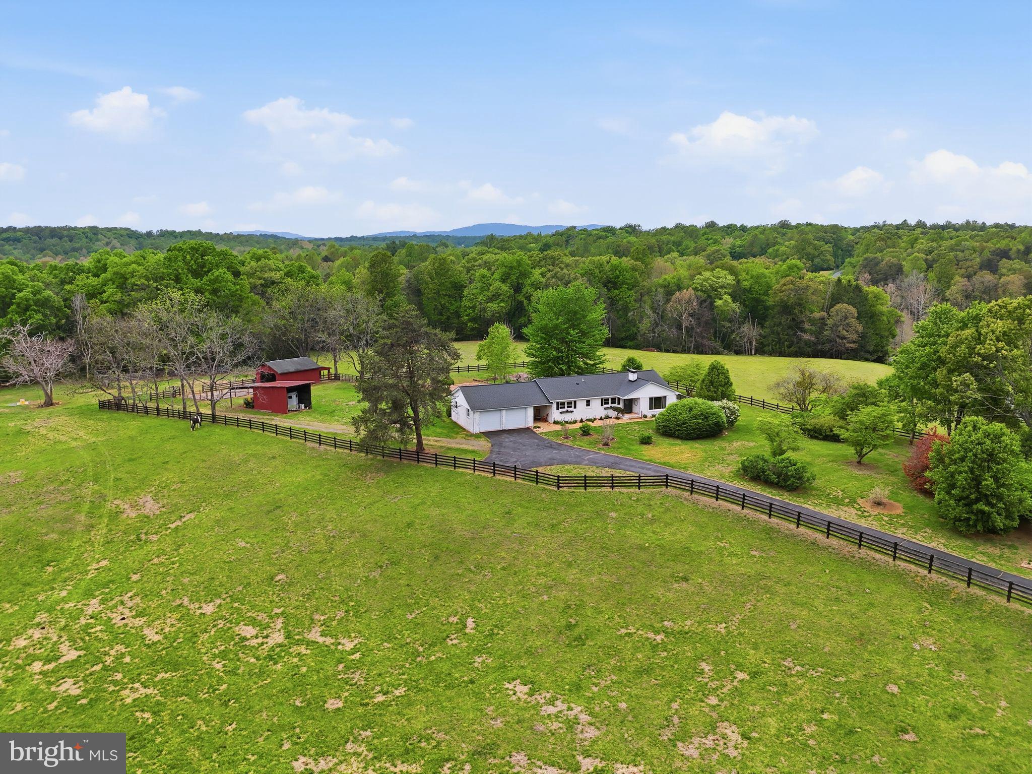 481 James City Road Leon, VA 22725 - Photo 5 of 89