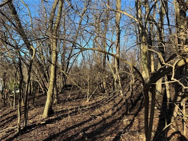 a backyard of a house with lots of trees