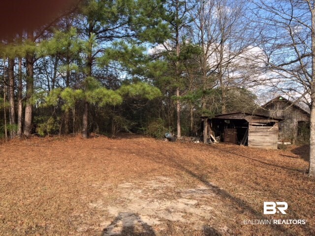 927 Green Road Castleberry, AL 36432 - Photo 5 of 24