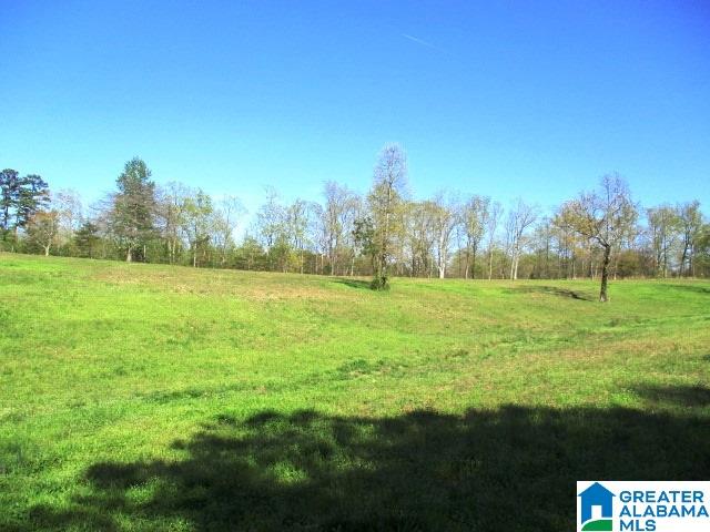 6971 Highway 24 Oneonta, AL 35121 - Photo 26 of 45
